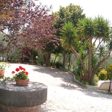 L'Uliveto Villa Montebuono  Exterior photo