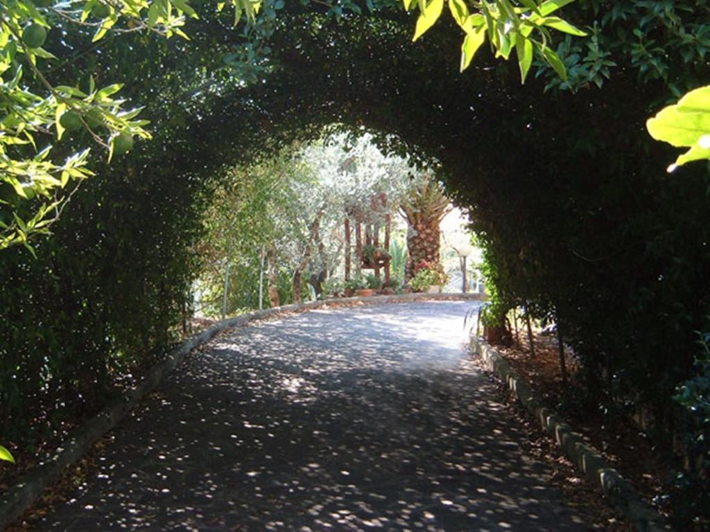 L'Uliveto Villa Montebuono  Exterior photo